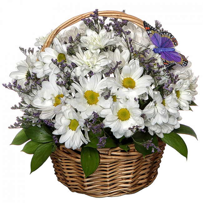 Теплые объятия